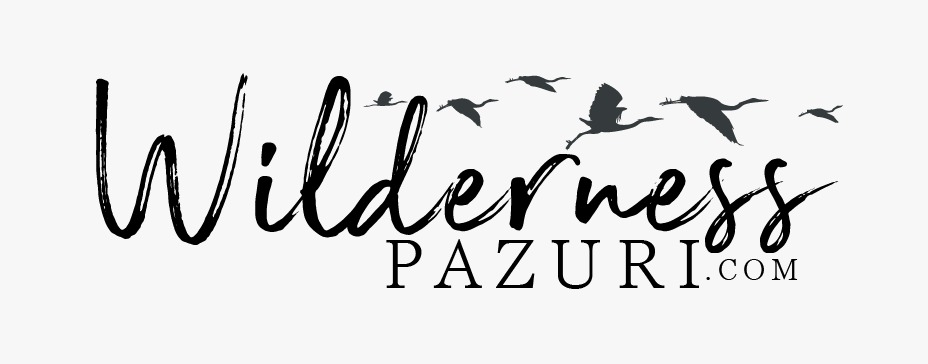 Wilderness Pazuri Company Limited