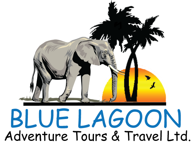 Blue Lagoon Tour