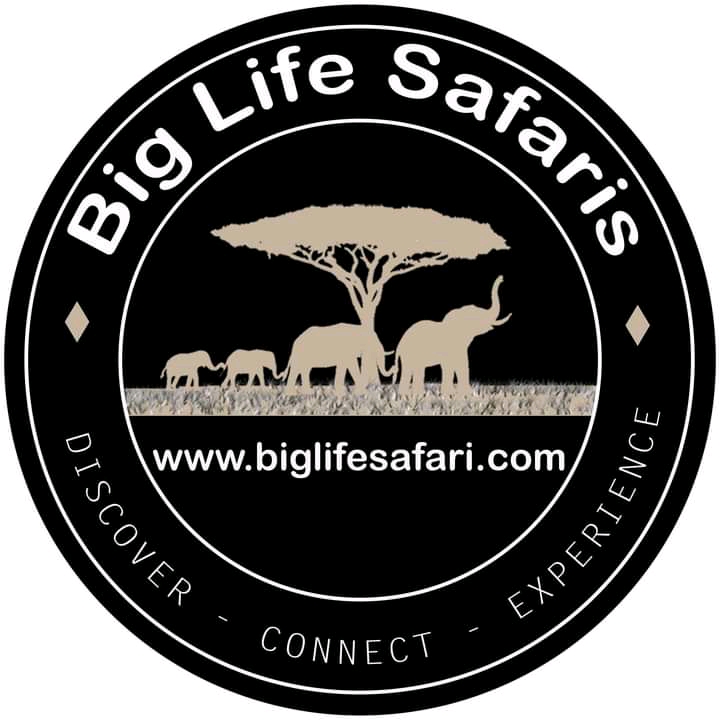 Big Life Safari