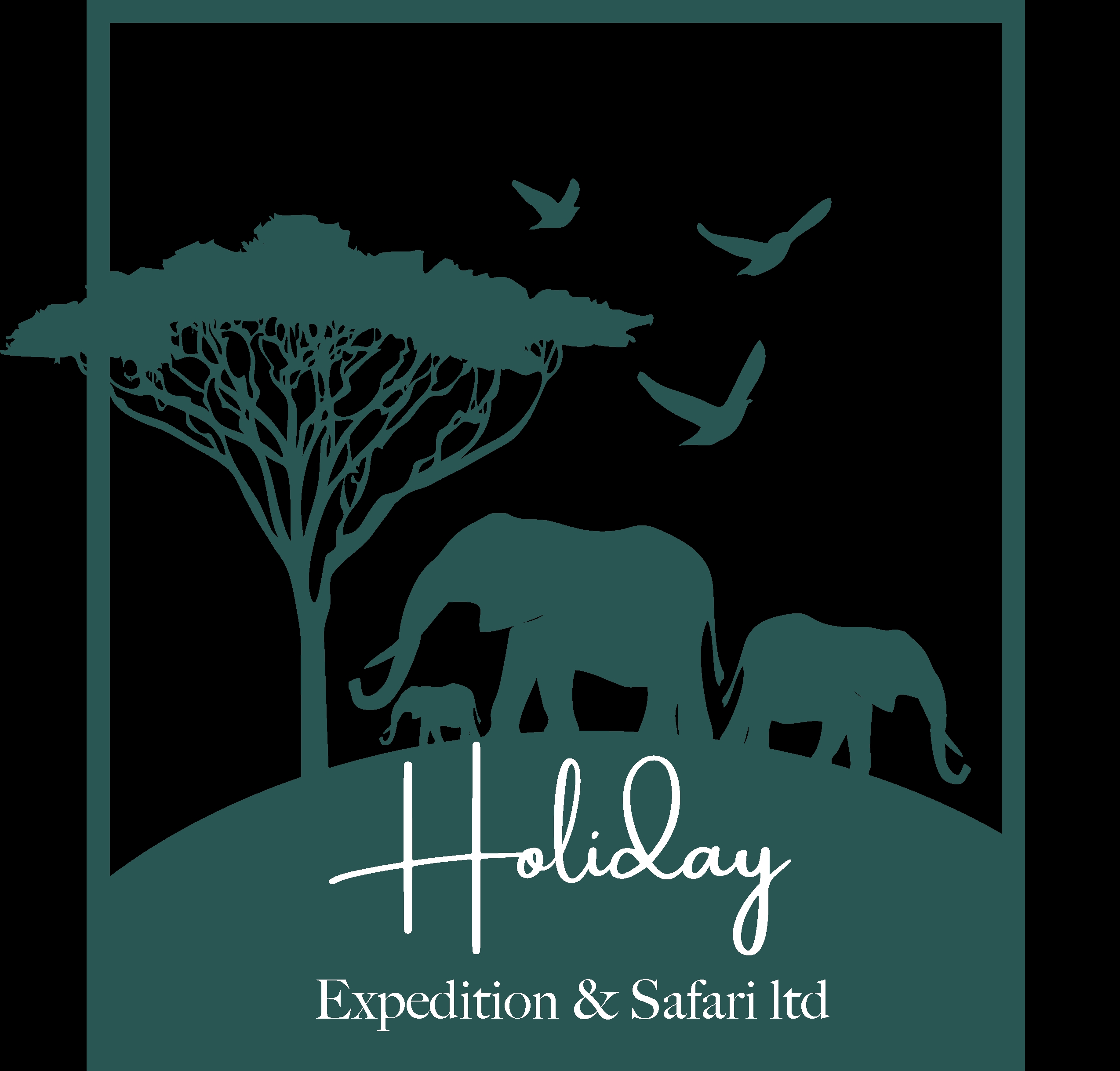 Holidays expedition and Safari Tanzania