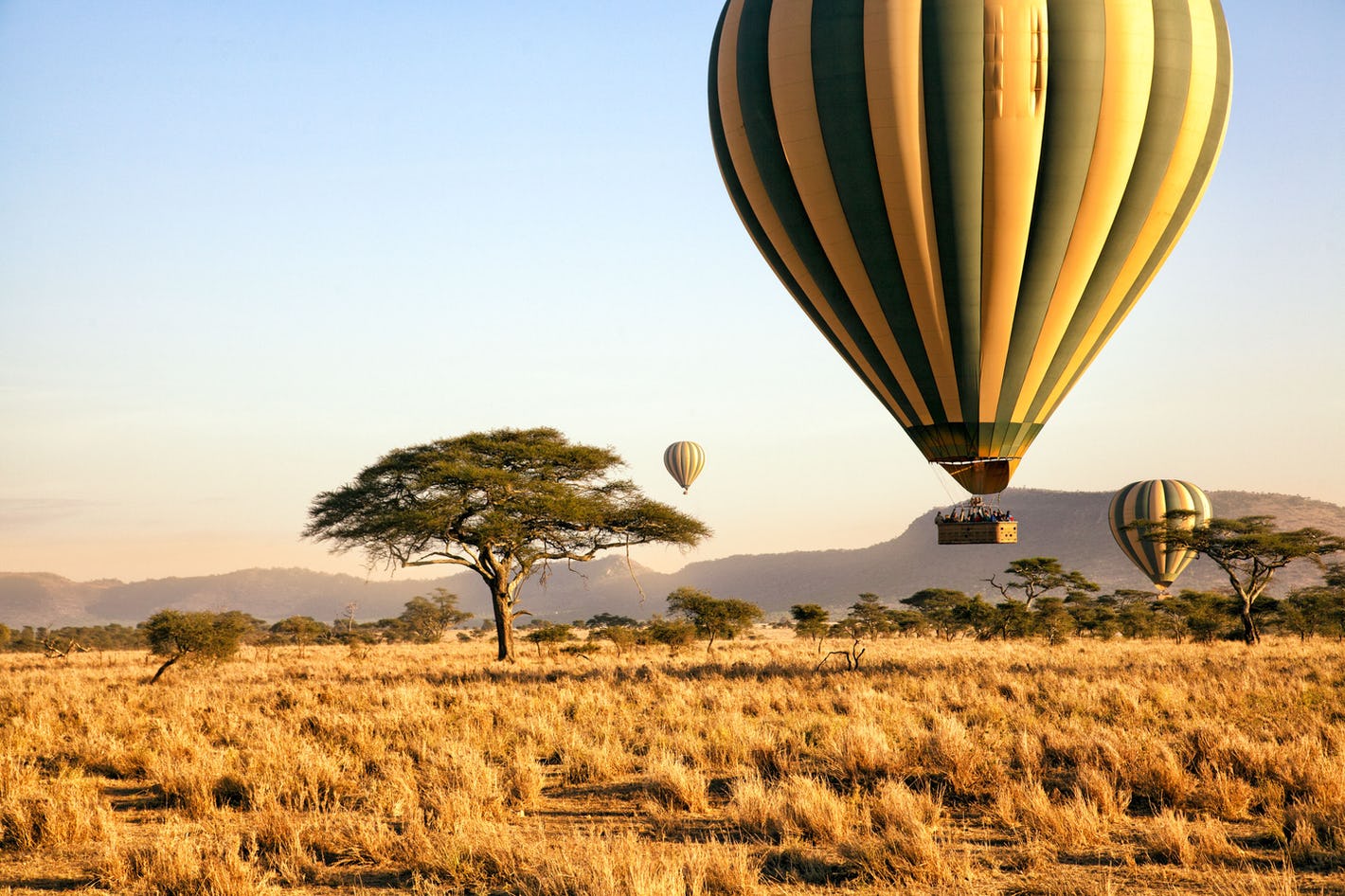 Planning Your Perfect Tanzanian Adventure: Travel Tips and Tricks