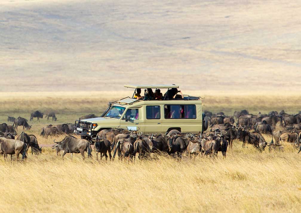 Top 10 Must-Visit Tourist Attractions in Tanzania